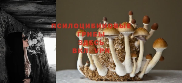 бошки Балабаново