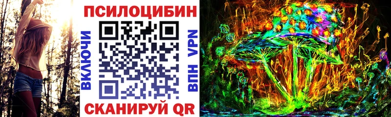 MEGA ссылки закладка Костерёво Псилоцибиновые грибы прущие грибы